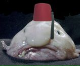 Фотография Мазурова Валерия