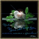 Фотография Байбарина Алексея