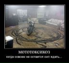 Фотография Власова Алексея