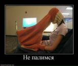 Фотография Бизон Янчик