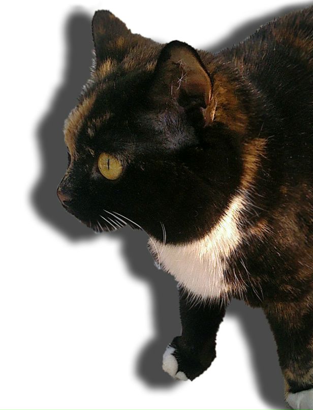 Сергей Грищенко фотография #24