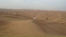 Фотография Тищенко Юлианны