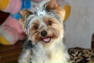 Фотография Богачевой Анны