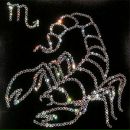 Скорпіон ** фотография #2 (источник - https://vk.com/id139871604)