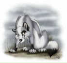 Фотография Кириллова Андрея