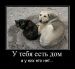  фотография #9