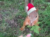 Фотография Пистер Елизаветы