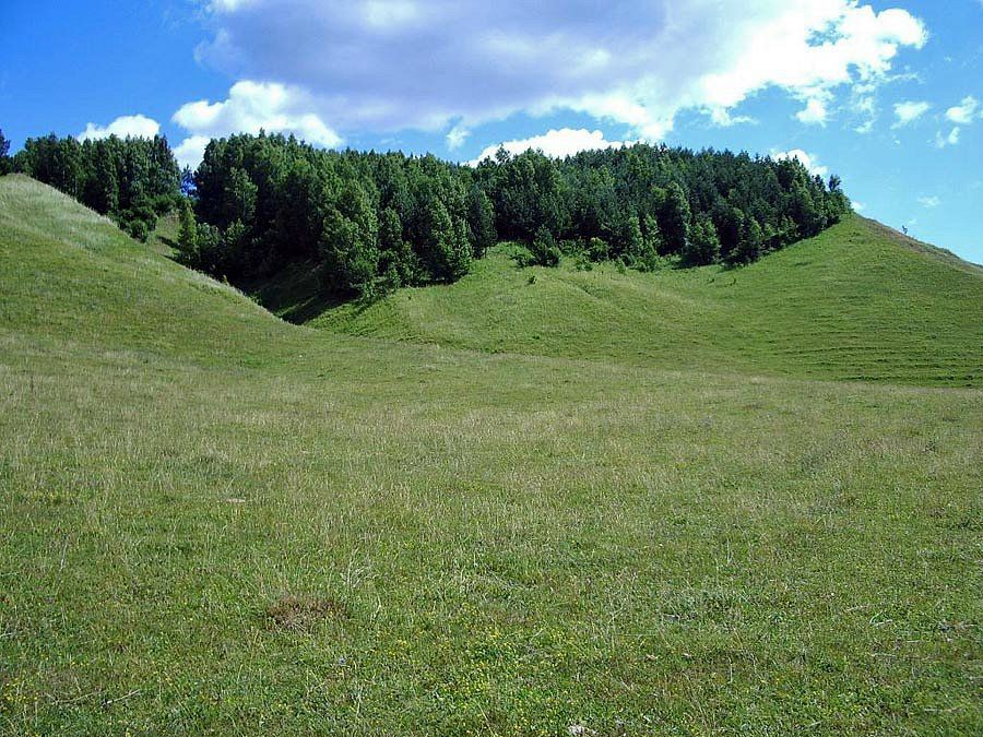 Роман Петров фотография #50