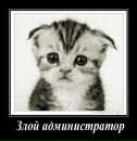 Фотография Ратмановой Ксенечки