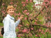 Фотография Соловьёвой Татьяны