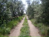 Фотография Миронова Артема