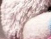 Лілюсік Калінчук фотография #43 (источник - https://vk.com/id66320175)