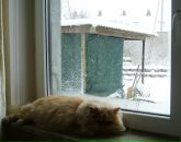 Виктор Логвин фотография #25 (источник - https://vk.com/id1749928)