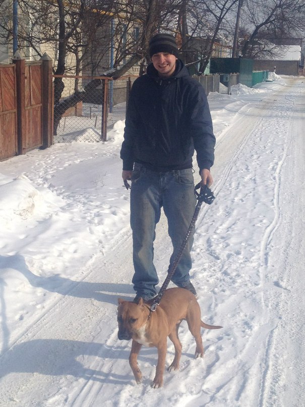 Дмитрий Шитов фотография #36