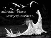 Ангеліна Будько фотография #19 (источник - https://vk.com/id129728129)