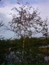 Иван Черников фотография #38 (источник - https://vk.com/id3073813)