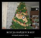 Наталія Ольшанецька фотография #41 (источник - https://vk.com/id24076933)