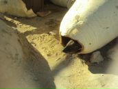 Катя Олійник фотография #41 (источник - https://vk.com/id16853046)