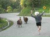 Игорь Рыков фотография #10 (источник - https://vk.com/id31346)