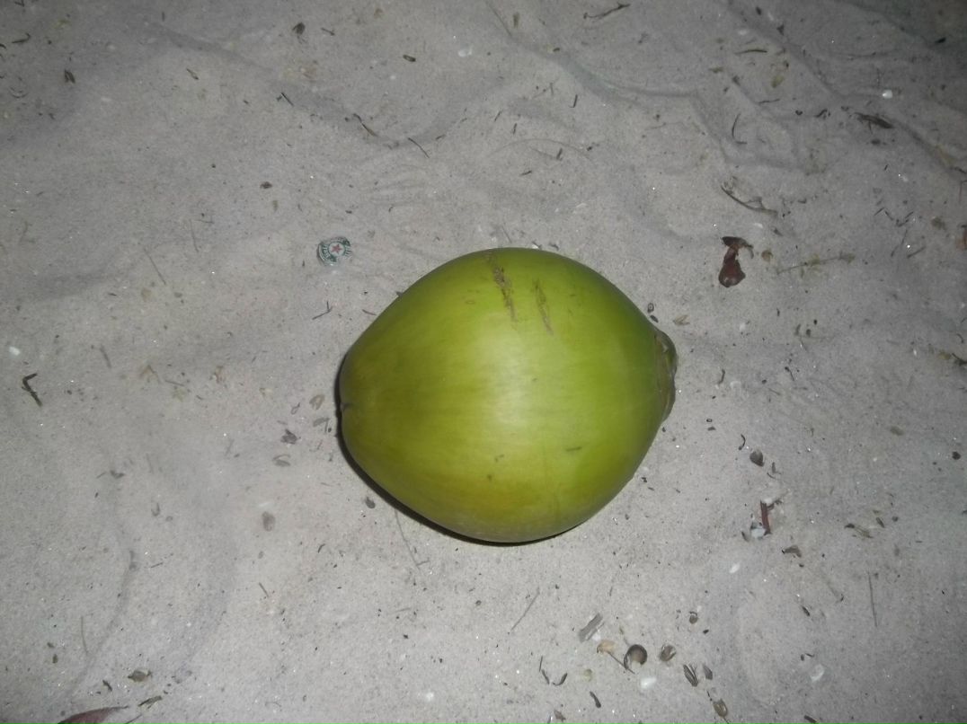 Дмитрий Михеенко фотография #35