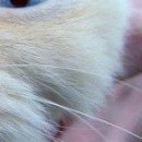 Андрій Яровий фотография #3 (источник - https://vk.com/id28962200)