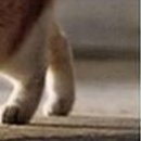 Олеся Загірна фотография #4 (источник - https://vk.com/id67316653)