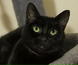 Фотография Малышевой Светланы