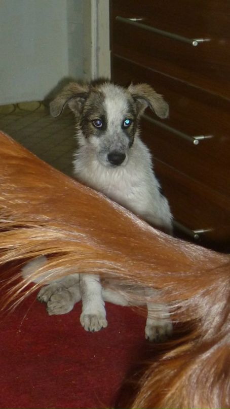 Александр Усов фотография #13