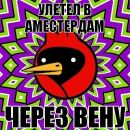 Катько Бирюкова фотография #14 (источник - https://vk.com/id26086263)