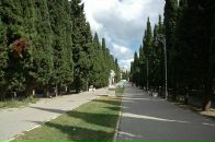 Фотография Ахметжанова Рушана