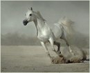 Οлеся Κудрявцева фотография #50 (источник - https://vk.com/id169427654)