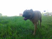 Толік Шуба фотография #32 (источник - https://vk.com/id28618845)