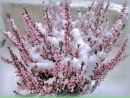 Фотография Красавцевой Елены