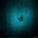 Ильдар Габбасов фотография #19 (источник - https://vk.com/id34062957)