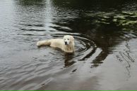 Иван Любченко фотография #34 (источник - https://vk.com/id682883)