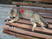 Іван Кифор фотография #6 (источник - https://vk.com/id82686175)