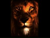 Славік Пліш фотография #34 (источник - https://vk.com/id20014691)