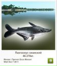 Сєрий Матвійшин фотография #30 (источник - https://vk.com/id111466338)