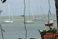 Денис Пузенко фотография #14 (источник - https://vk.com/id2951850)