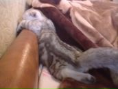 Фотография Герасимовой Татьяны