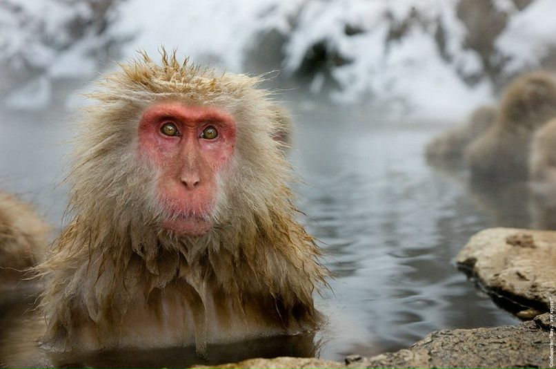 Стас Одиноченко фотография #14