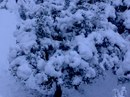 Інна Бурко(ковальська) фотография #20 (источник - https://vk.com/id151079614)