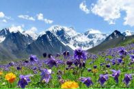 Фотография Ибрагимовой Айгуль