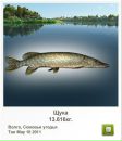 Діма Чорнобай фотография #31 (источник - https://vk.com/id28333196)