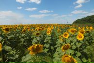 Мирослава Ільчук фотография #37 (источник - https://vk.com/id68033367)