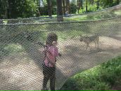 Юлія Петренко фотография #39 (источник - https://vk.com/id7521208)