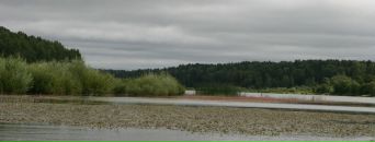 Максим Терентьев фотография #21 (источник - https://vk.com/id961502)