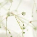 Іринка Ходинчак фотография #15 (источник - https://vk.com/id32260967)