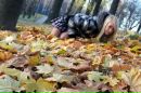 Діана Незалежна фотография #7 (источник - https://vk.com/id170871947)