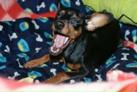 Фотография Kovru Olga